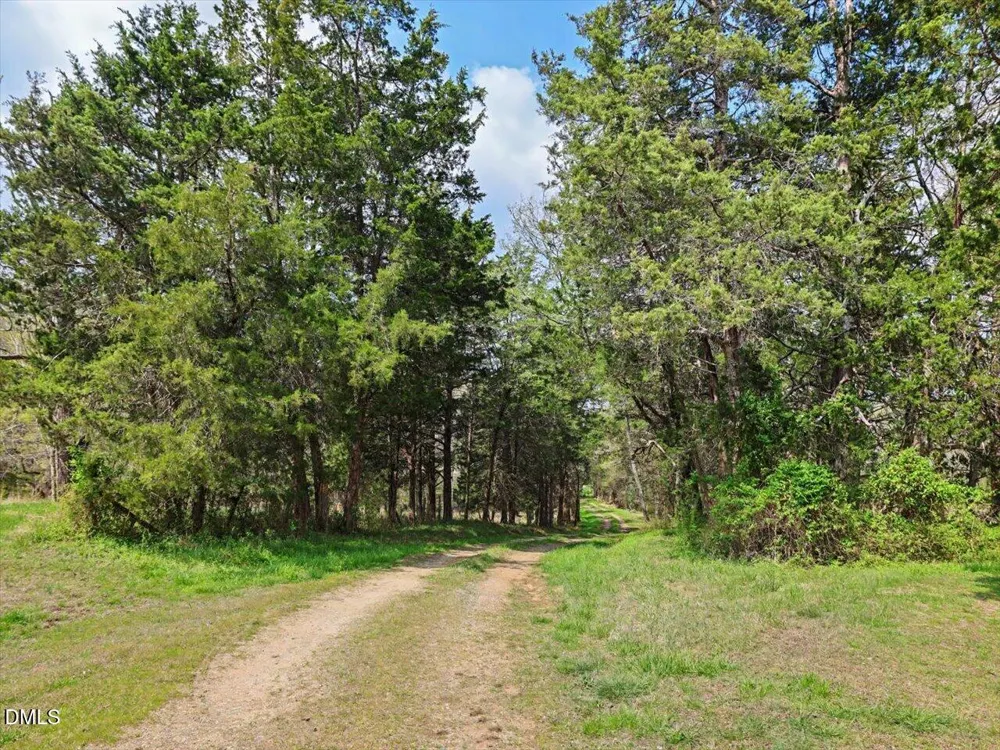 7793 Ridgeville Road Leasburg, NC 27291