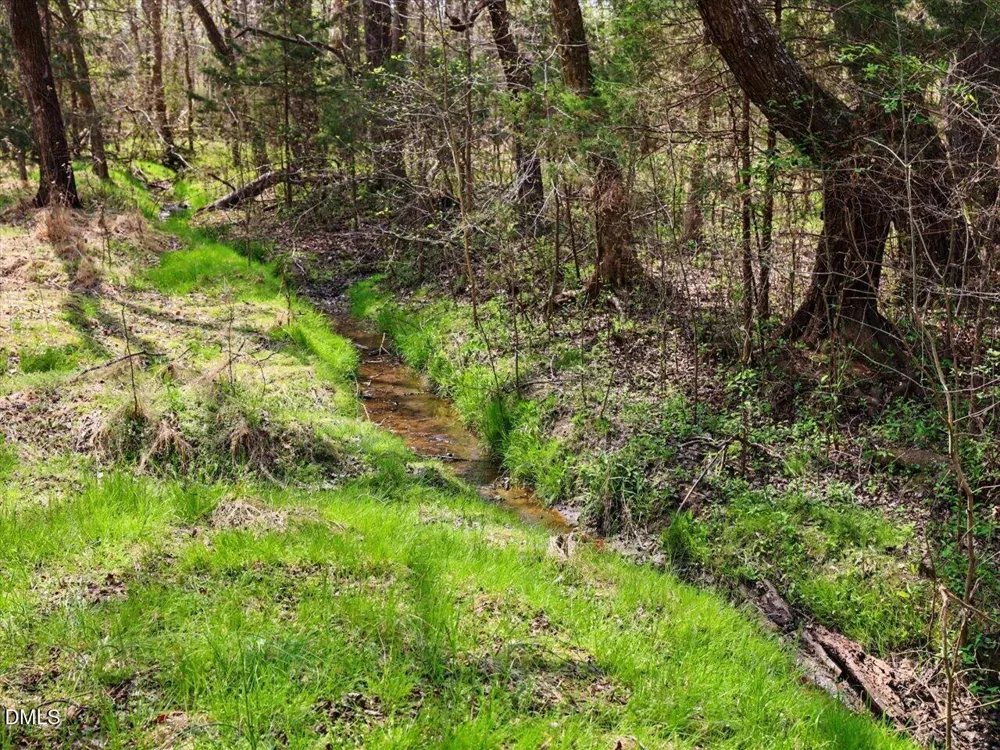 7793 Ridgeville Road Leasburg, NC 27291