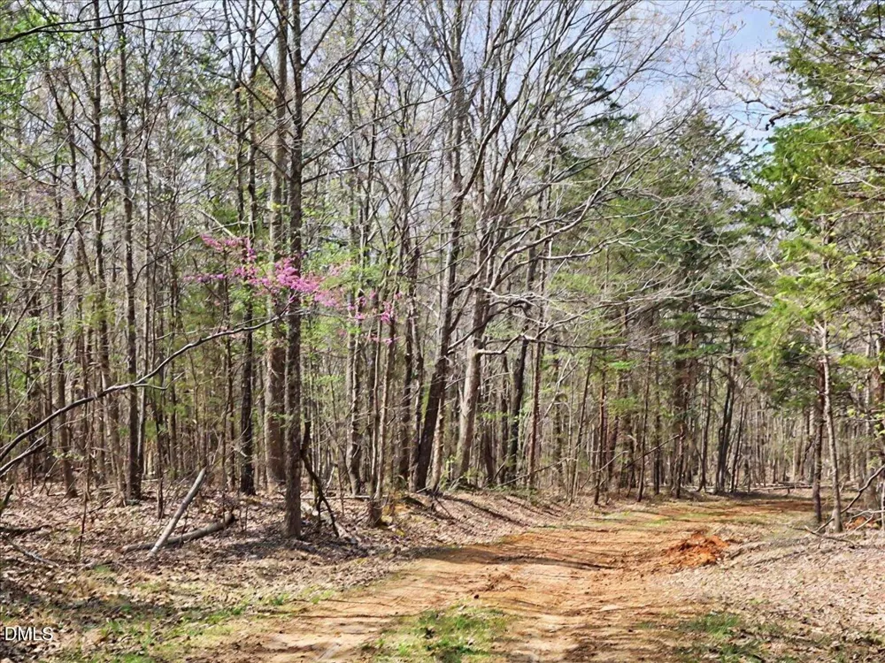 7793 Ridgeville Road Leasburg, NC 27291