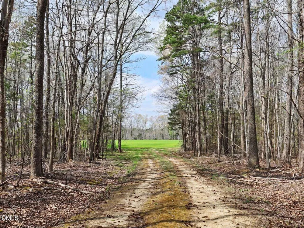 7793 Ridgeville Road Leasburg, NC 27291