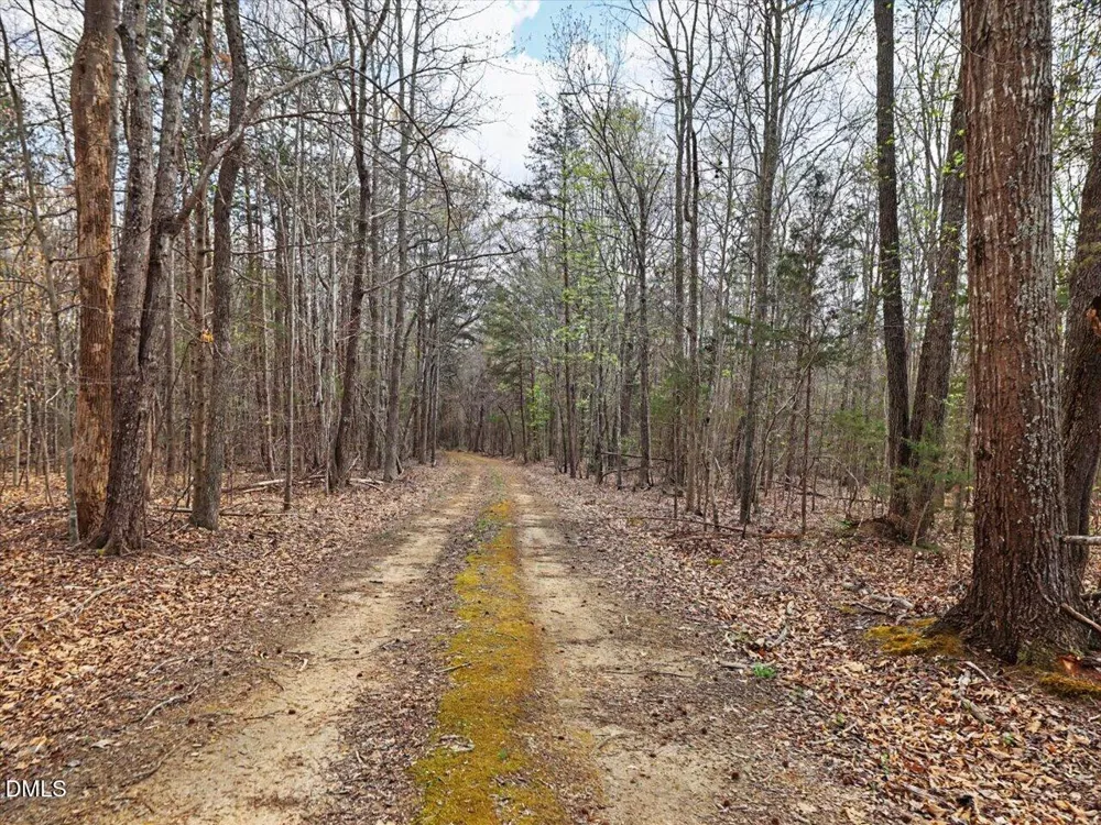7793 Ridgeville Road Leasburg, NC 27291
