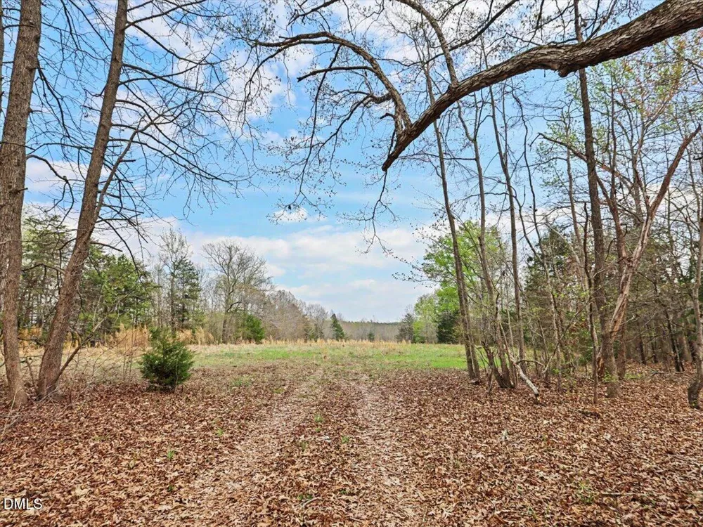 7793 Ridgeville Road Leasburg, NC 27291