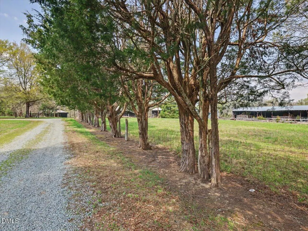 7793 Ridgeville Road Leasburg, NC 27291