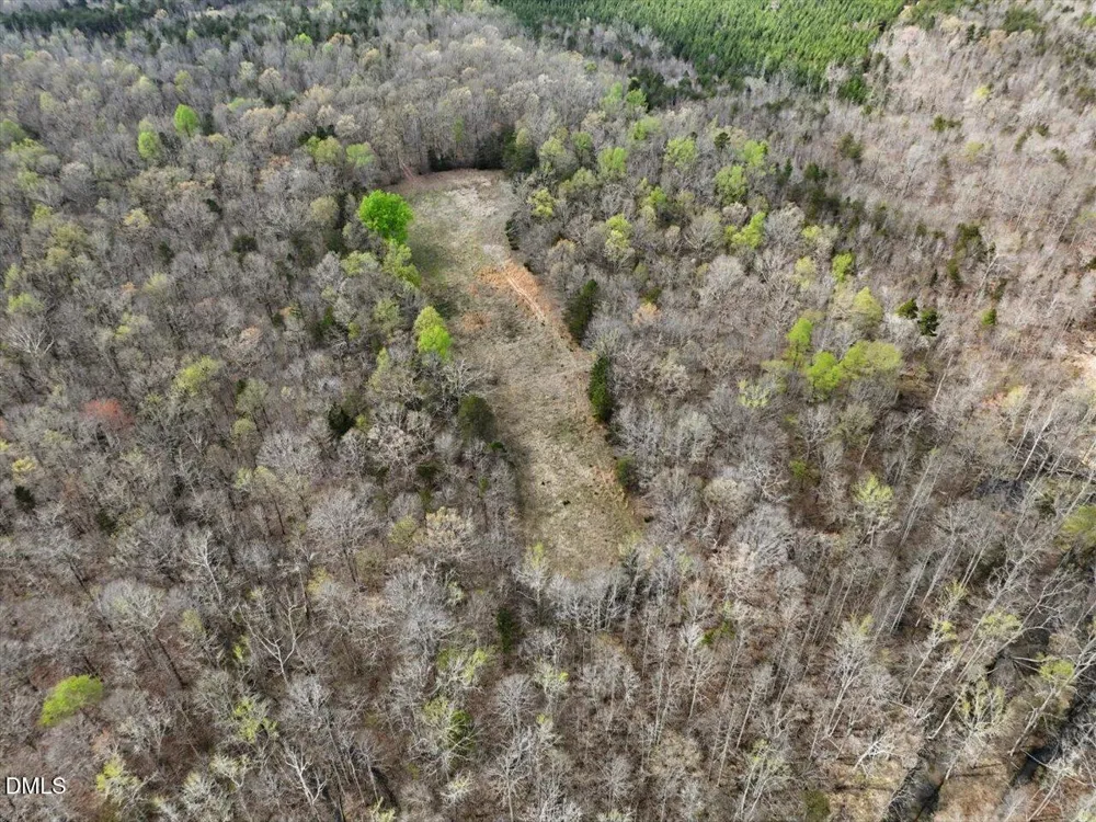 7793 Ridgeville Road Leasburg, NC 27291