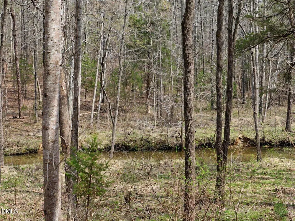7793 Ridgeville Road Leasburg, NC 27291