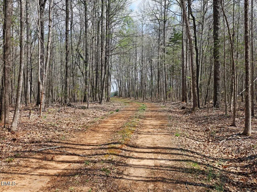 7793 Ridgeville Road Leasburg, NC 27291