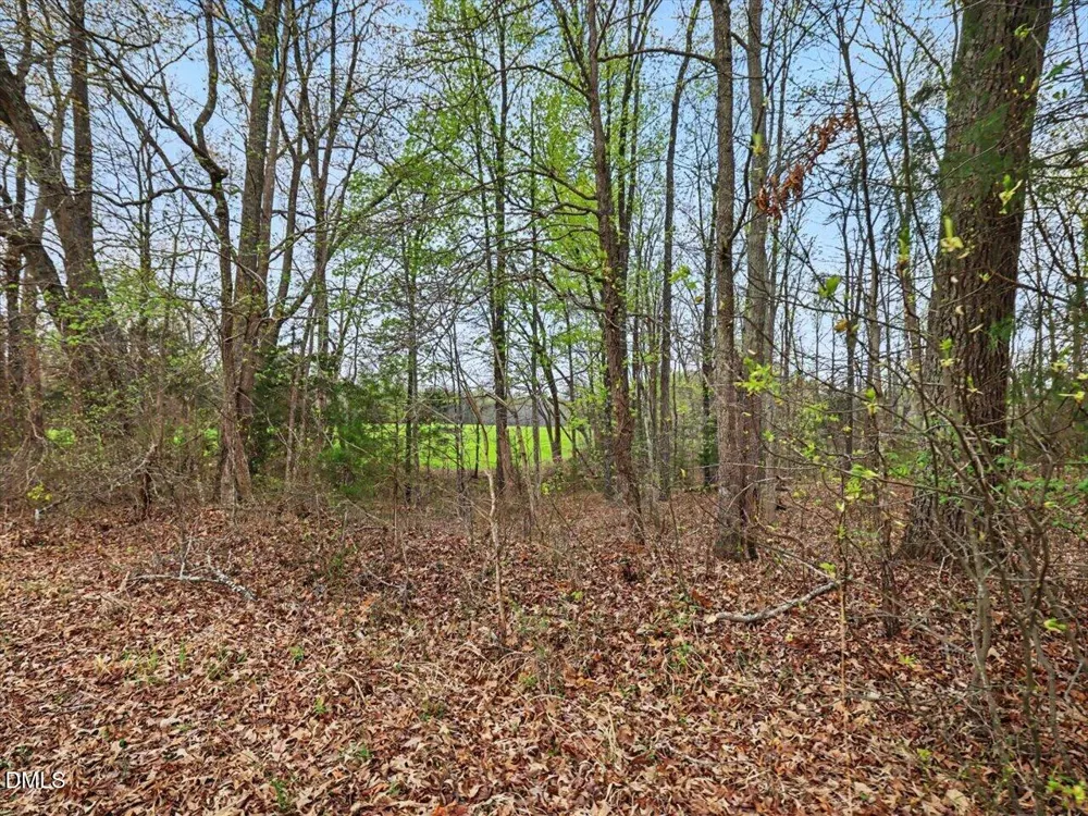 7793 Ridgeville Road Leasburg, NC 27291