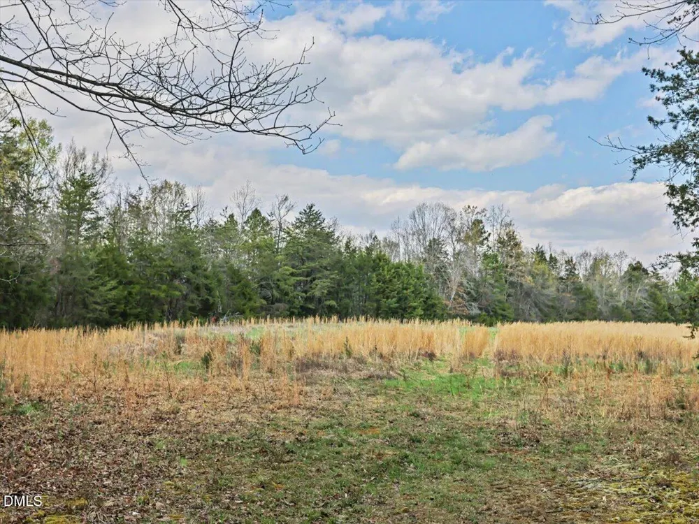 7793 Ridgeville Road Leasburg, NC 27291
