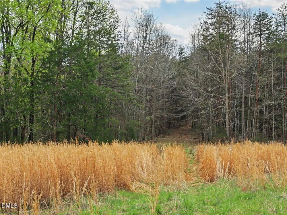 7793 Ridgeville Road Leasburg, NC 27291