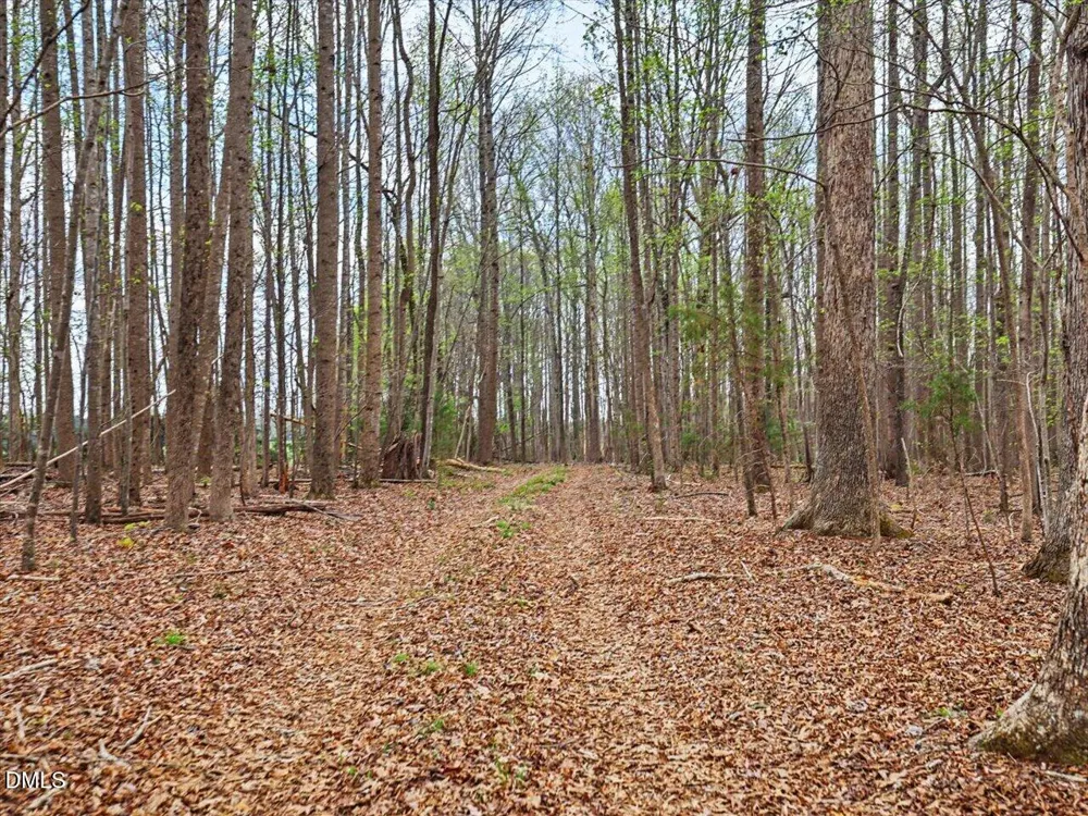 7793 Ridgeville Road Leasburg, NC 27291