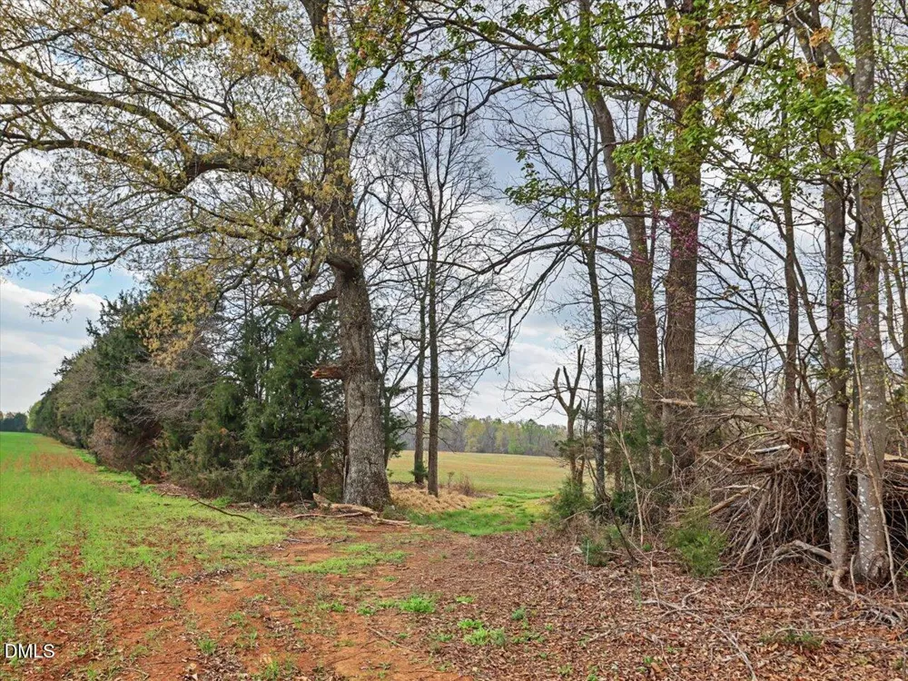 7793 Ridgeville Road Leasburg, NC 27291