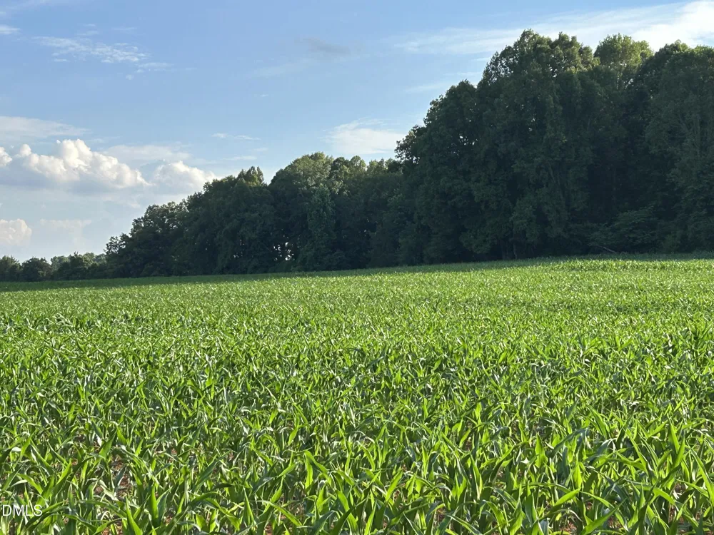7793 Ridgeville Road Leasburg, NC 27291