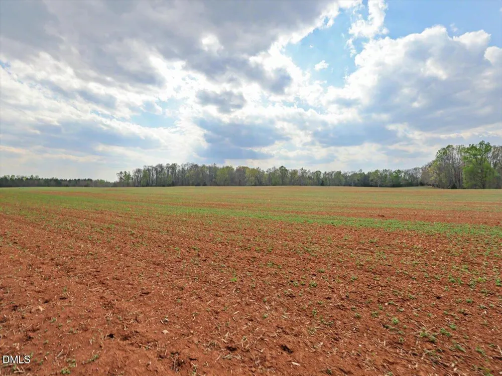 7793 Ridgeville Road Leasburg, NC 27291