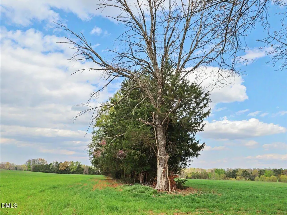7793 Ridgeville Road Leasburg, NC 27291