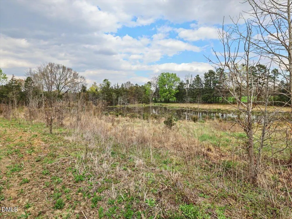 7793 Ridgeville Road Leasburg, NC 27291