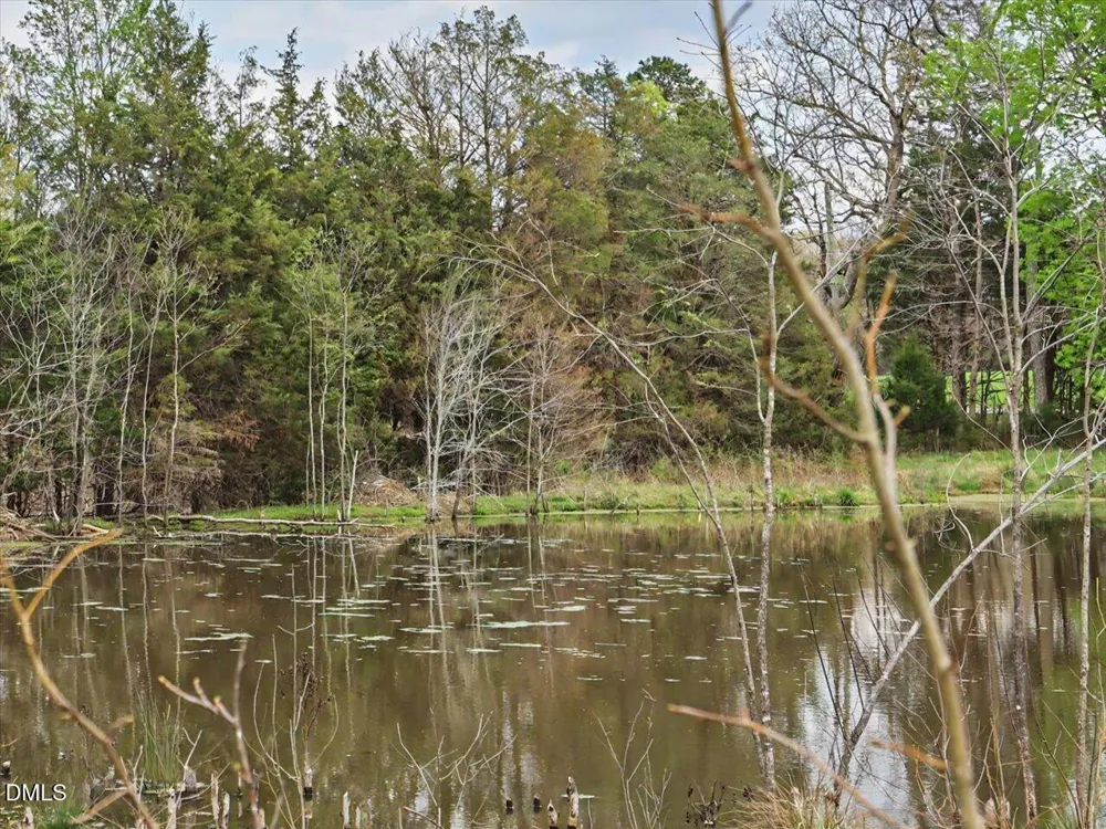 7793 Ridgeville Road Leasburg, NC 27291