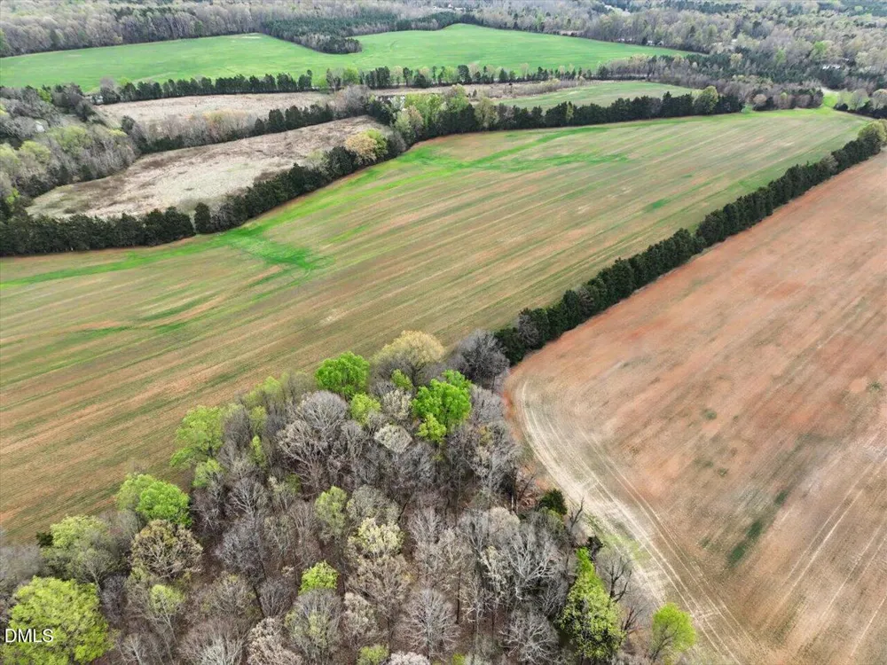 7793 Ridgeville Road Leasburg, NC 27291