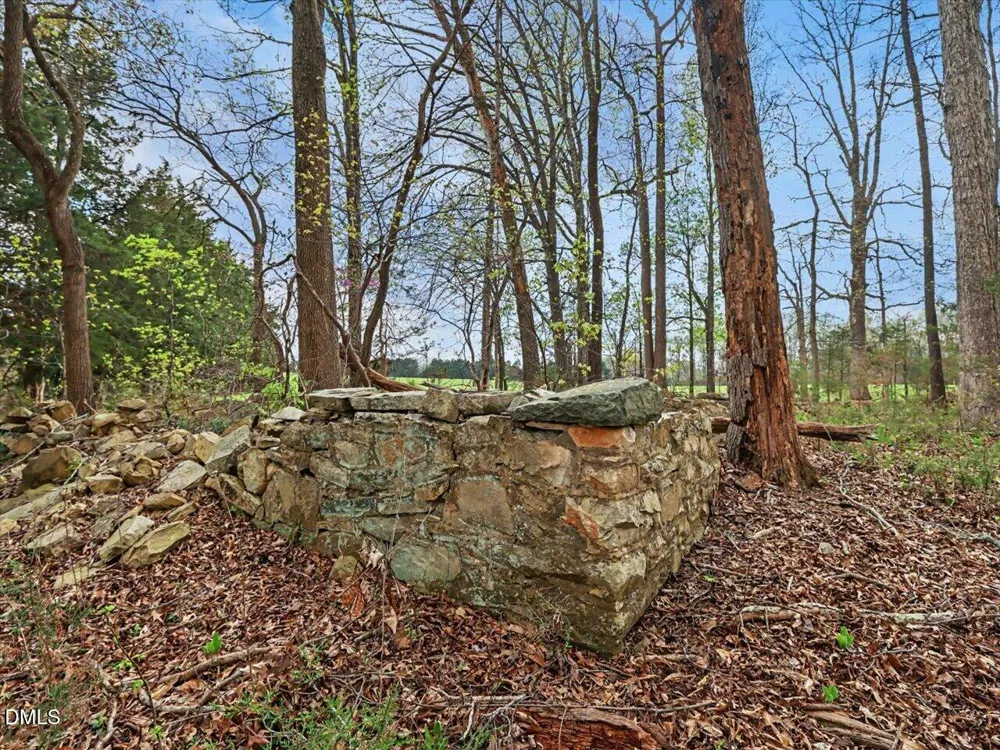 7793 Ridgeville Road Leasburg, NC 27291