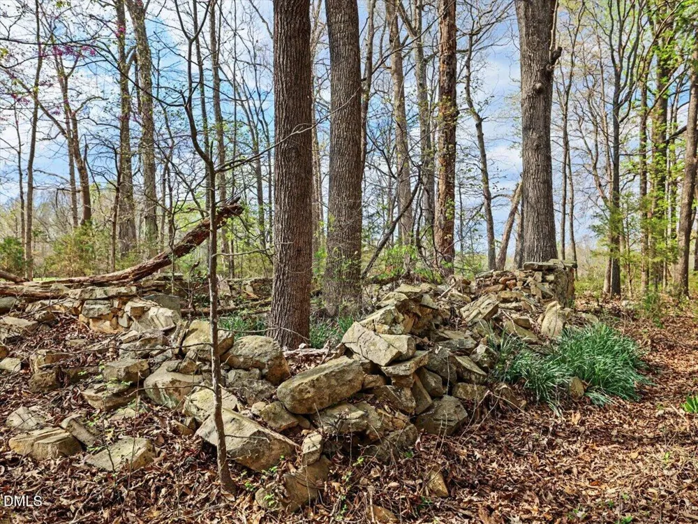 7793 Ridgeville Road Leasburg, NC 27291