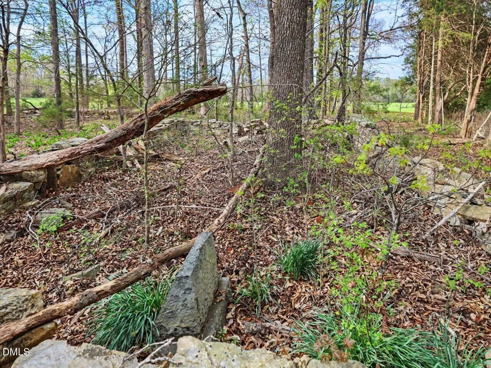 7793 Ridgeville Road Leasburg, NC 27291