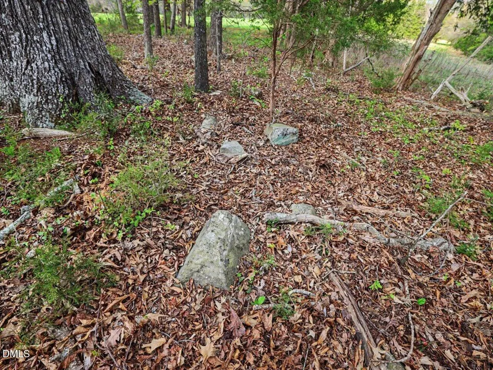 7793 Ridgeville Road Leasburg, NC 27291