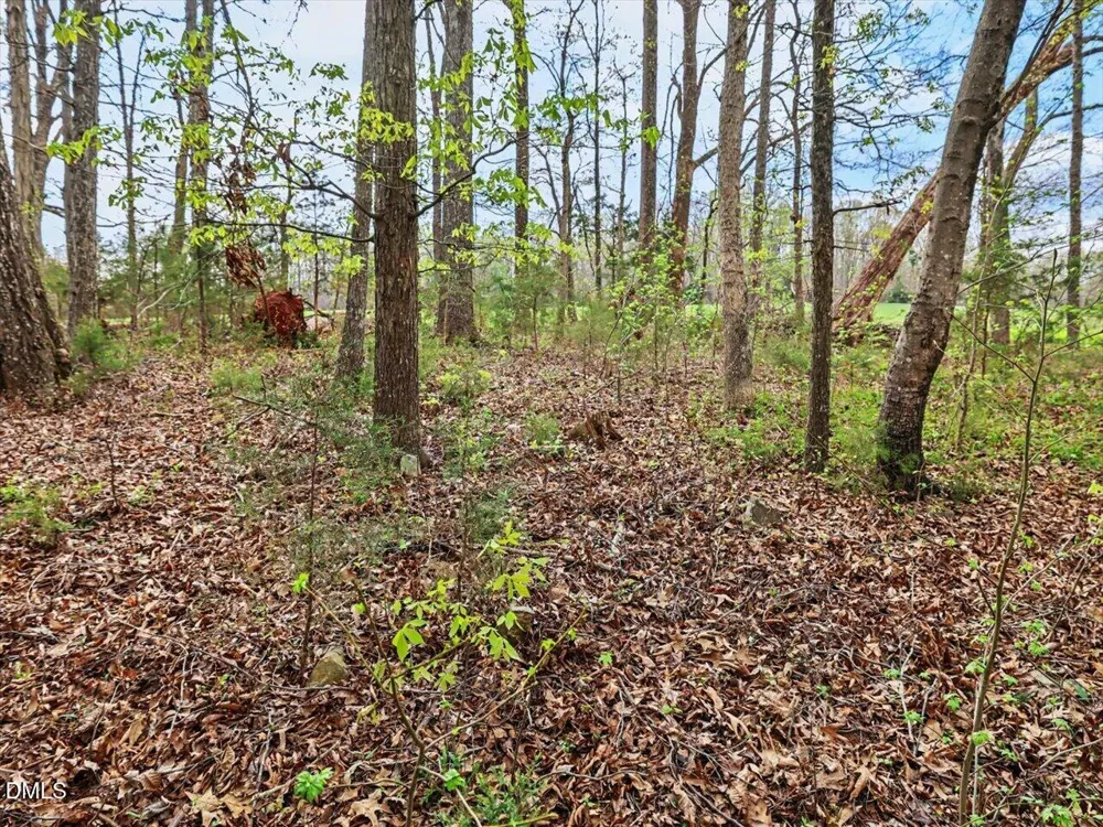 7793 Ridgeville Road Leasburg, NC 27291