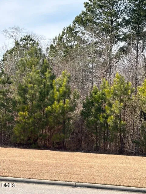 0 Saint Matthews Road Erwin, NC 28339