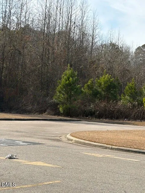 0 Saint Matthews Road Erwin, NC 28339
