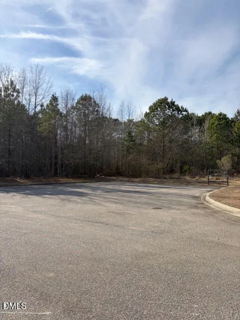 0 Saint Matthews Road Erwin, NC 28339