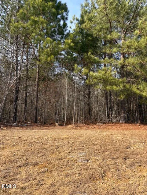 206 Hope Street Erwin, NC 28339