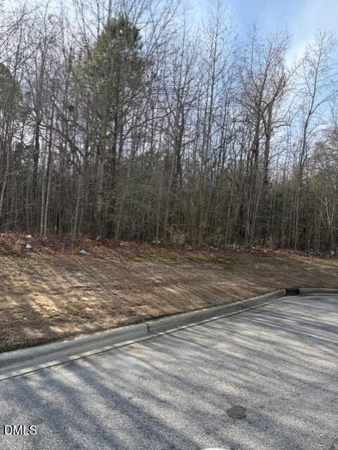 206 Hope Street Erwin, NC 28339