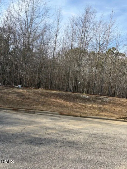 206 Hope Street Erwin, NC 28339