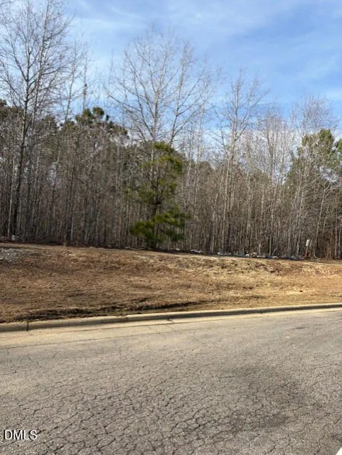 206 Hope Street Erwin, NC 28339