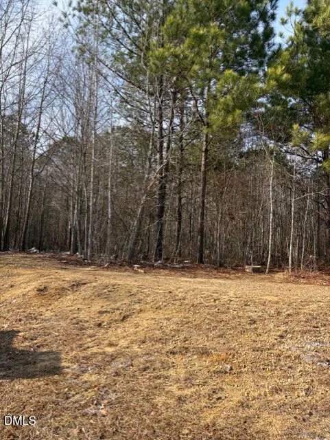 206 Hope Street Erwin, NC 28339