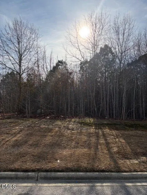 590 E Jackson Boulevard Erwin, NC 28339