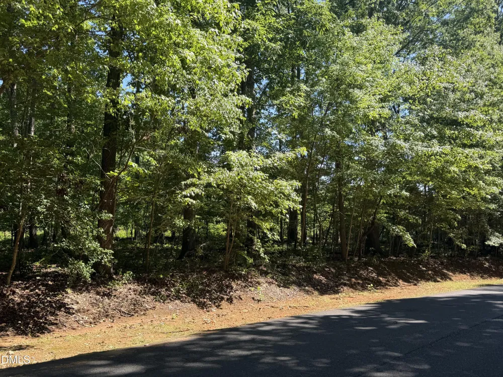 0 Pine Forest Drive S Siler City, NC 27344