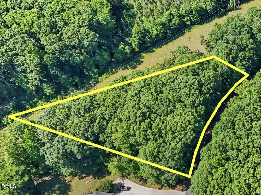 0 Pine Forest Drive S Siler City, NC 27344
