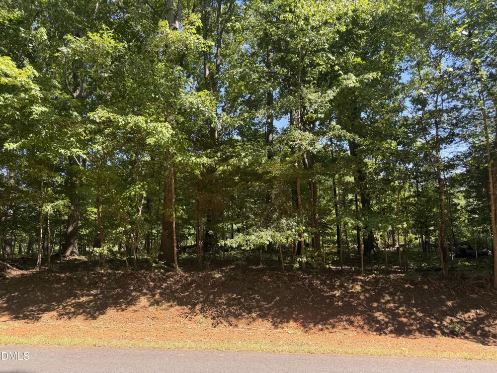 0 Pine Forest Drive S Siler City, NC 27344