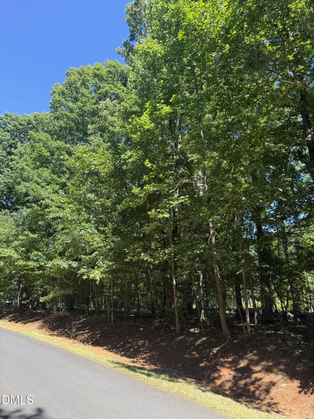 0 Pine Forest Drive S Siler City, NC 27344
