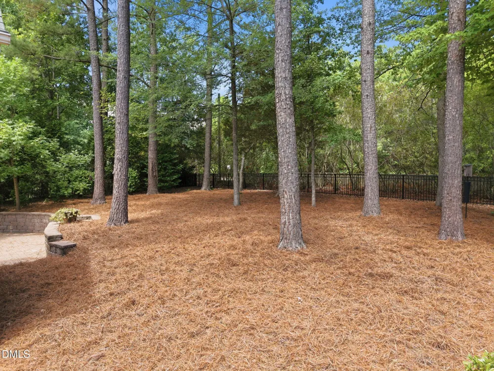 1229 Fanning Drive Wake Forest, NC 27587