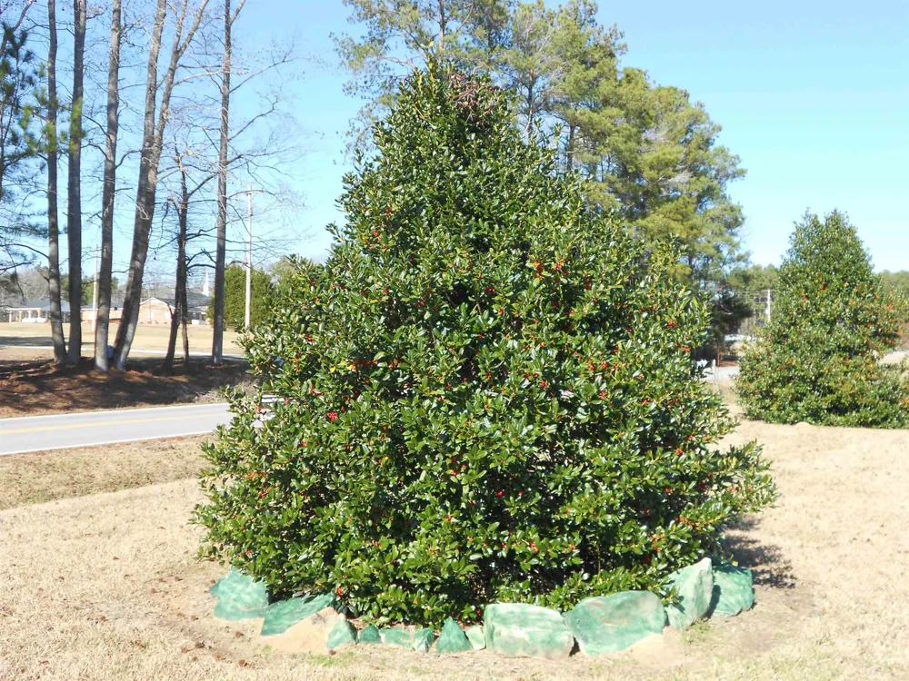 75 Joe Denton Road Louisburg, NC 27549