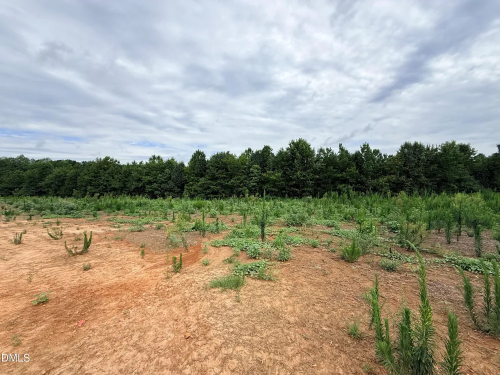 166 Batten Pond Road Selma, NC 27576