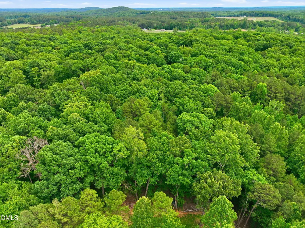 1841 Dots Drive Hillsborough, NC 27278