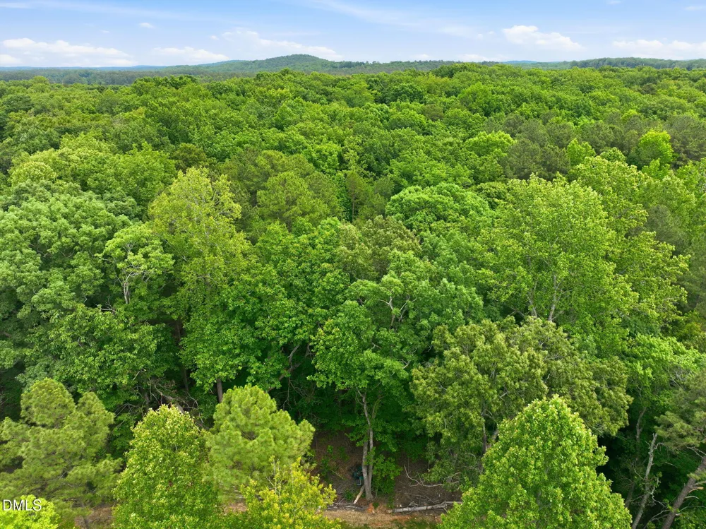 1841 Dots Drive Hillsborough, NC 27278