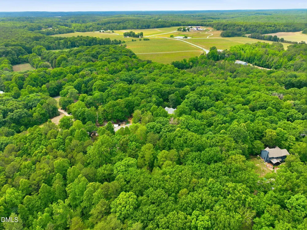 1841 Dots Drive Hillsborough, NC 27278