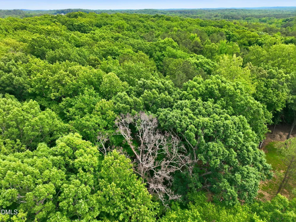 1841 Dots Drive Hillsborough, NC 27278