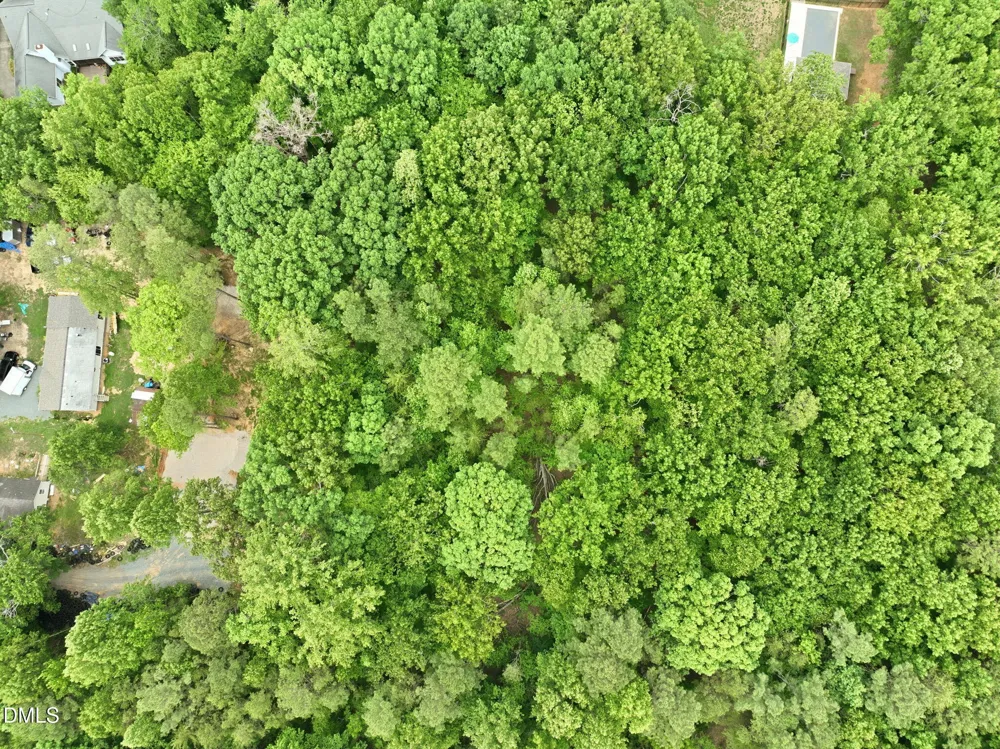 1841 Dots Drive Hillsborough, NC 27278
