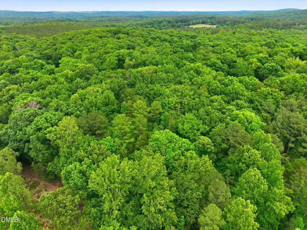 1841 Dots Drive Hillsborough, NC 27278