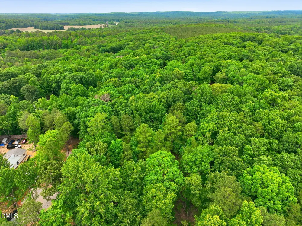 1841 Dots Drive Hillsborough, NC 27278