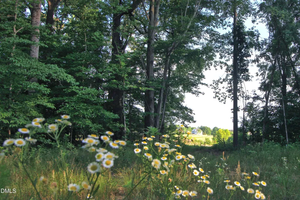 6810 Sawyer Road Liberty, NC 27298
